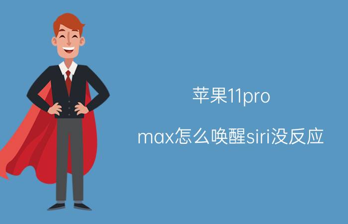 苹果11pro max怎么唤醒siri没反应 苹果手机喊嘿siri为什么不说话？